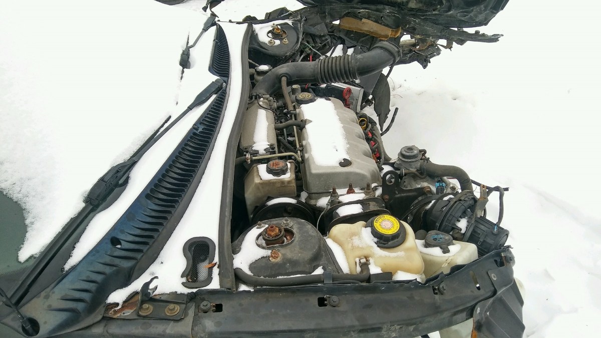 16665791_10211628007686805_4362544263319987520_o